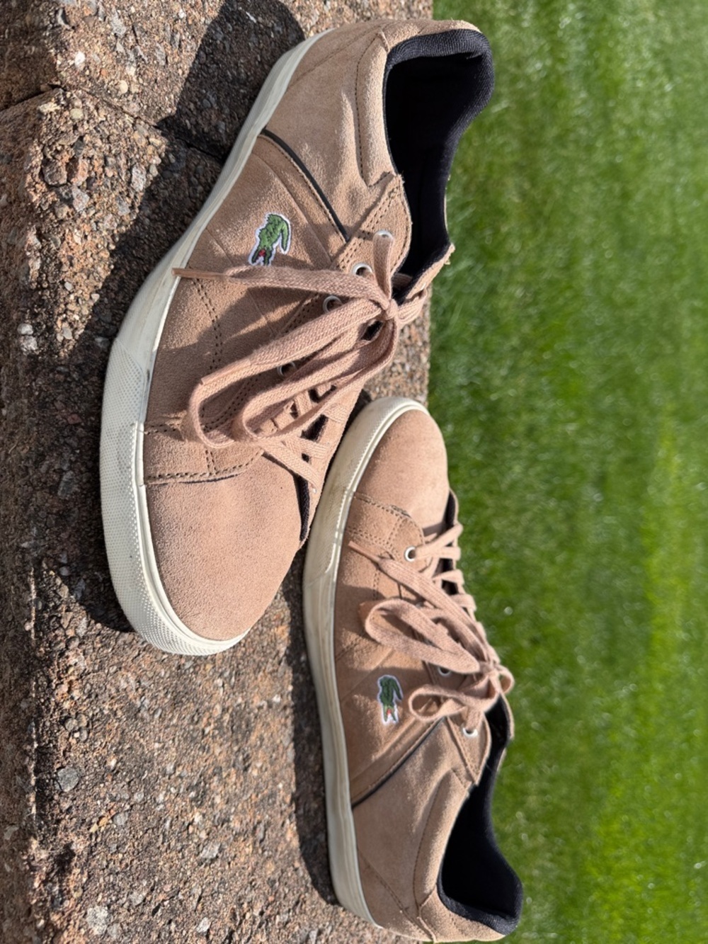 Lacoste Taupe Suede Low-Top Sneakers with Green Crocodile